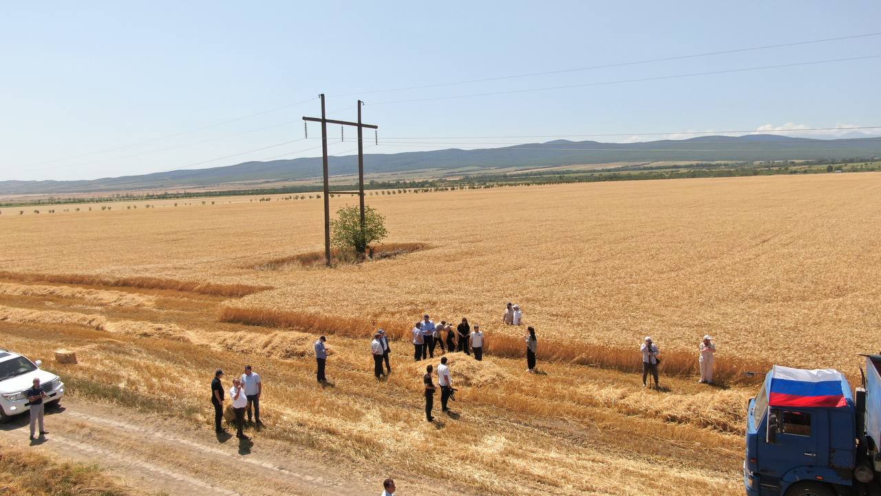В Дагестане за счет господдержки наращивают объемы урожая зерна