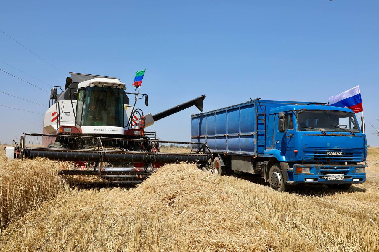 В Дагестане за счет господдержки наращивают объемы урожая зерна