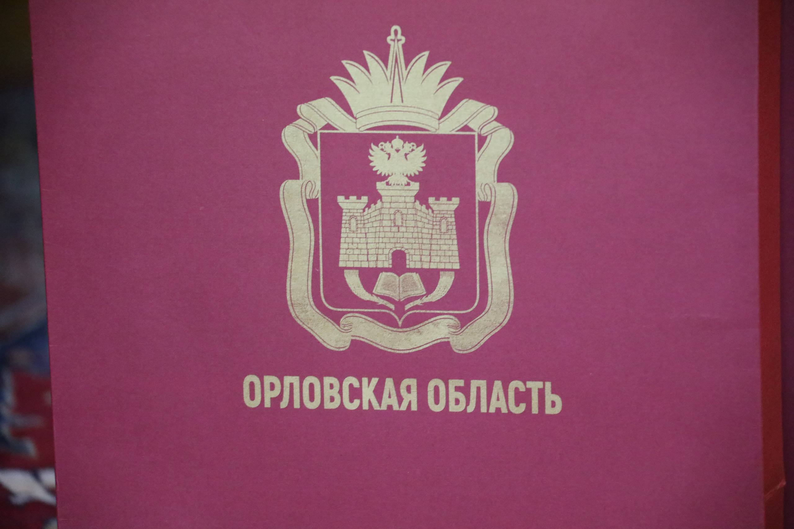 Абдулмуслим Абдулмуслимов провёл встречу с заместителем Губернатора Орловской области Александром Бирюковым