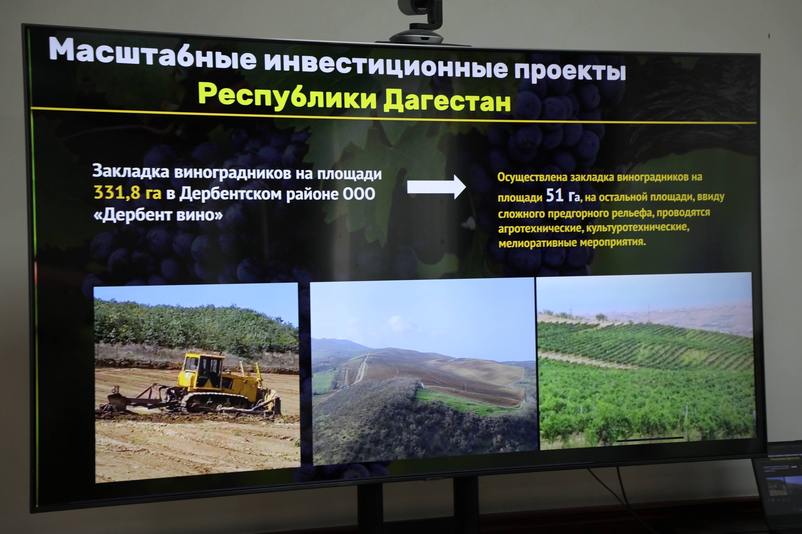 В Дагестане разработают меры по вовлечению виноградопригодных земель в оборот и развитию садоводства в горах