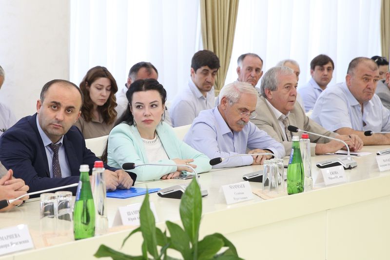 Под руководством Артёма Здунова и Дмитрия Морозова в Дагестане обсуждена тема охраны здоровья детей