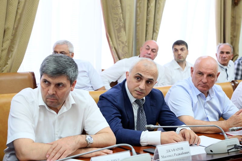 Перспективы развития рыбохозяйственного комплекса региона обсудили в Правительстве Дагестана