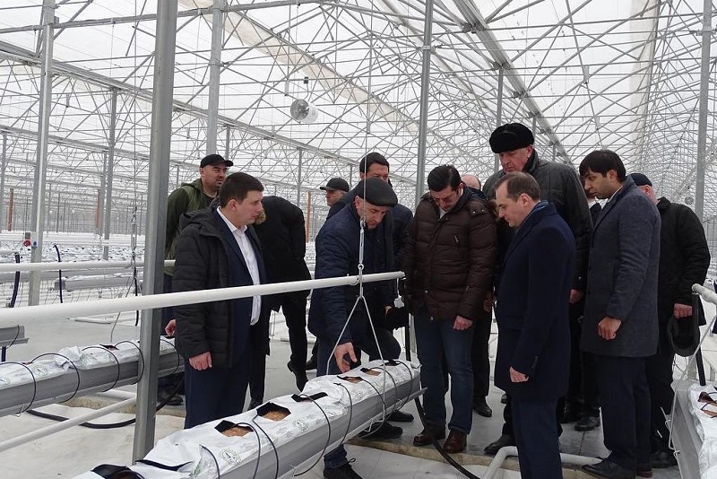 Вторая очередь тепличного комплекса «Агромир» в Дагестане готова к запуску