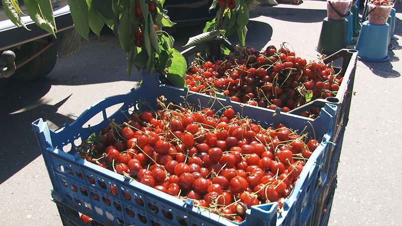 В Махачкале прошла республиканская сельскохозяйственная ярмарка