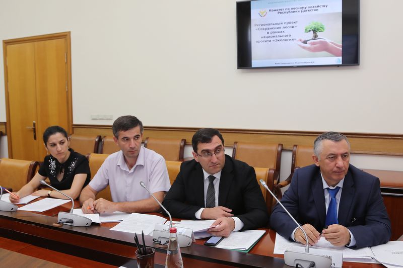 Абдулмуслим Абдулмуслимов призвал активизировать работу по реализации в Дагестане нацпроекта «Экология»