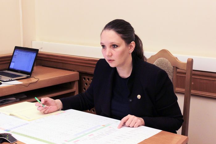 Под руководством Екатерины Толстиковой обсуждены вопросы эффективного использования земель республиканской собственности