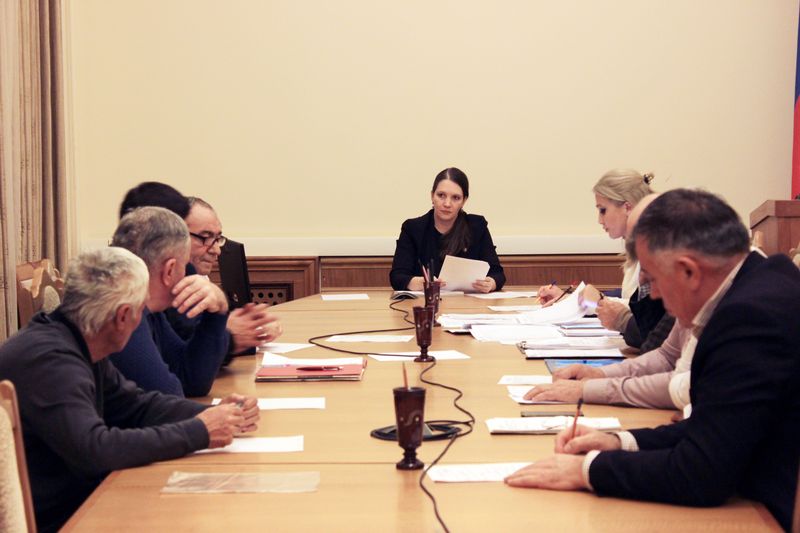 Екатерина Толстикова провела  встречу с должниками арендной платы за имущество в республиканский бюджет