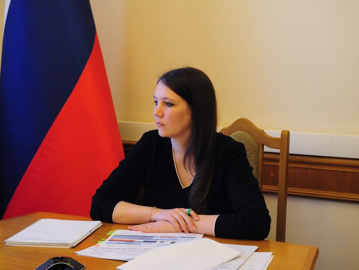 Под руководством Екатерины Толстиковой обсуждены вопросы имущественной поддержки субъектов МСП