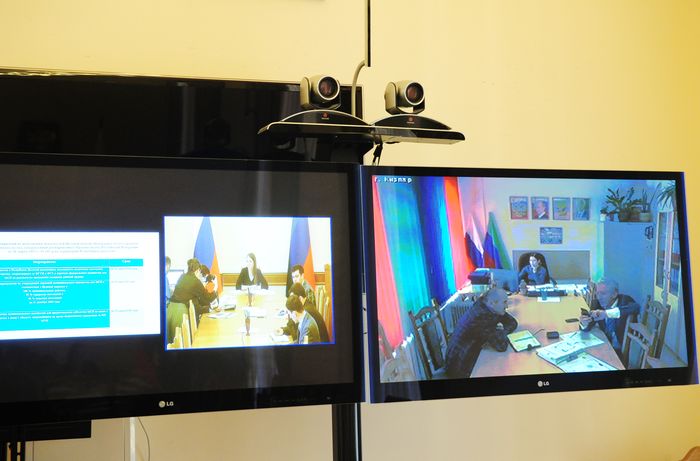 Под руководством Екатерины Толстиковой обсуждены вопросы имущественной поддержки субъектов МСП