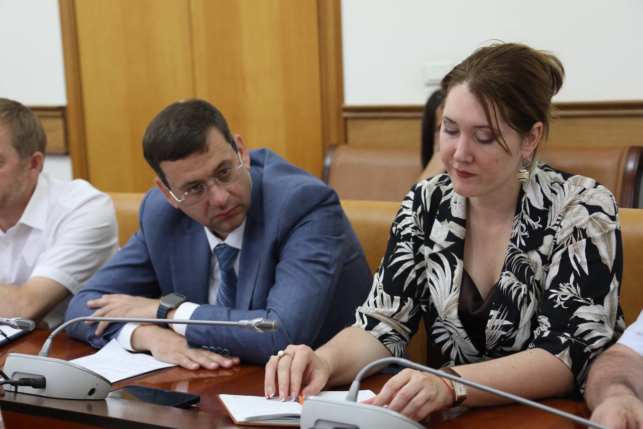 Россети совместно с Правительством выработают план первоочередных мероприятий по повышению качества энергоснабжения