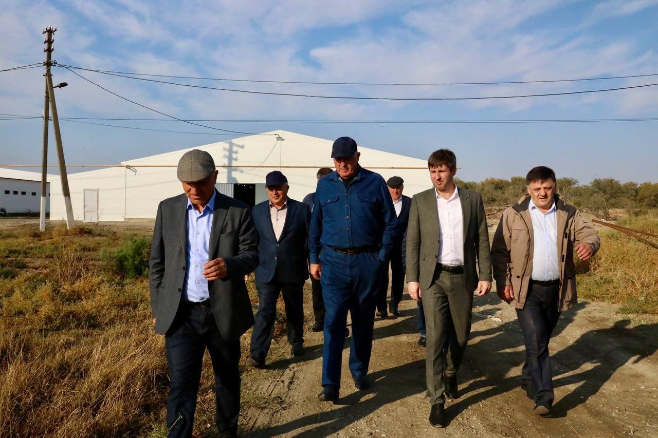В Дагестане проводят модернизацию Калиновской птицефабрики