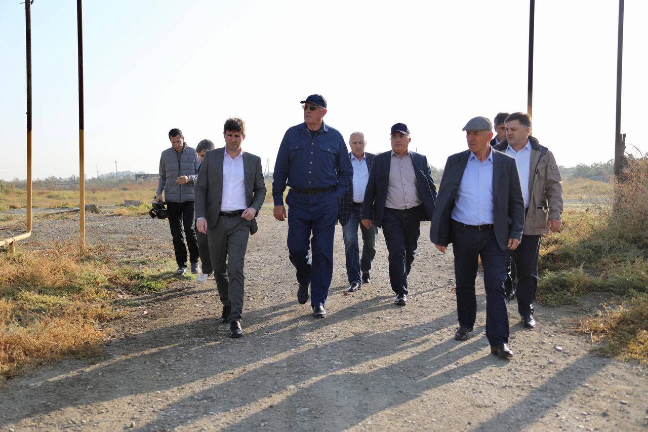 В Дагестане проводят модернизацию Калиновской птицефабрики