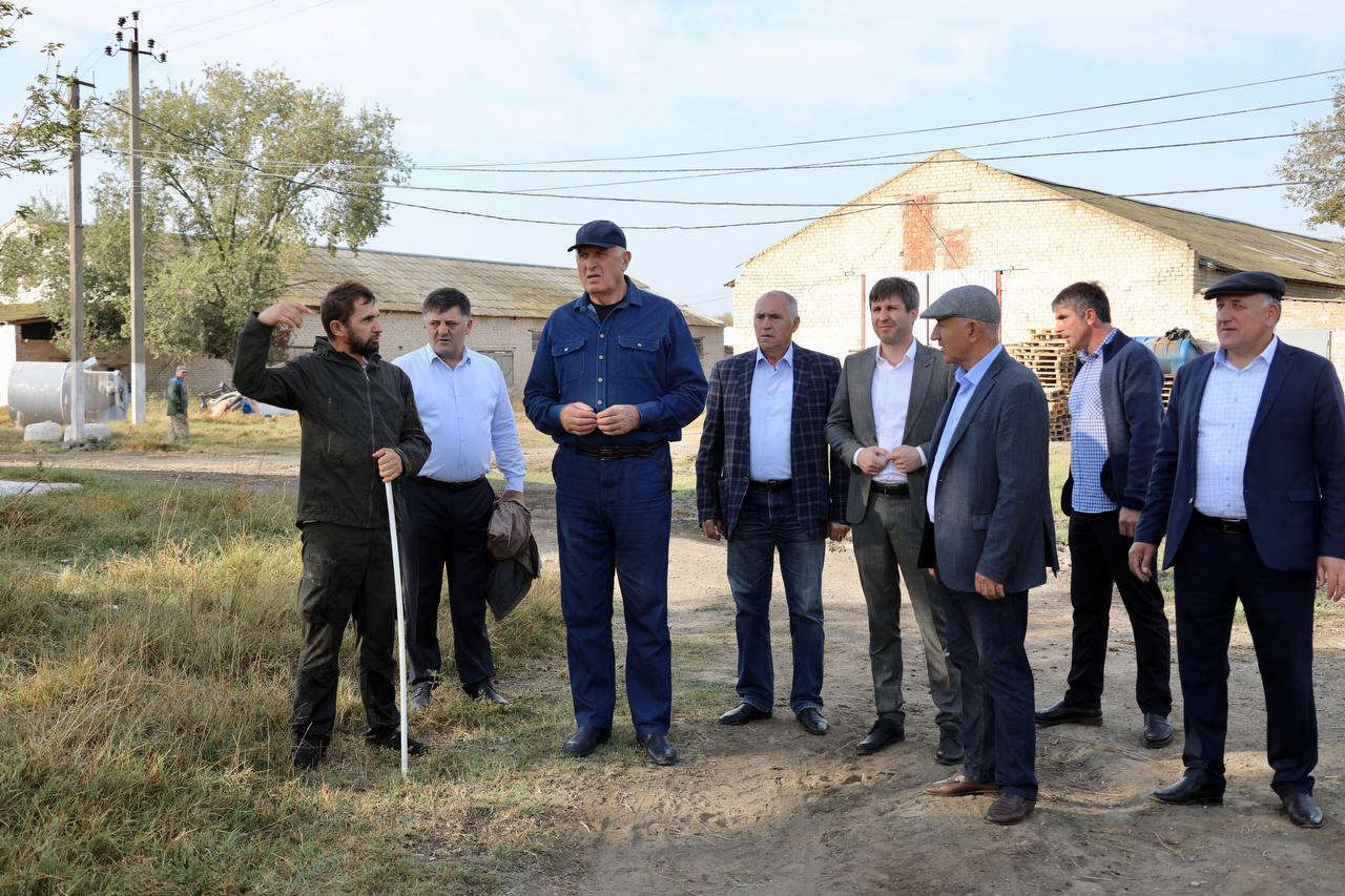 В Дагестане проводят модернизацию Калиновской птицефабрики