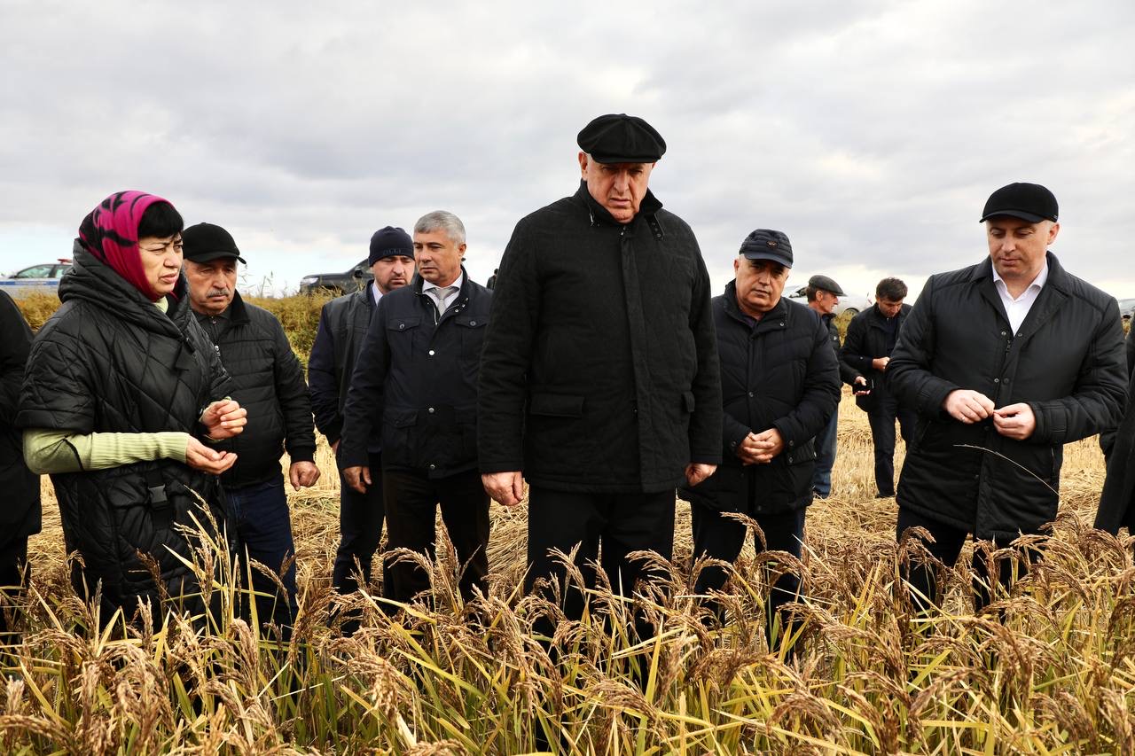 Абдулмуслим Абдулмуслимов поздравил работников сельского хозяйства Дагестана с профессиональным праздником